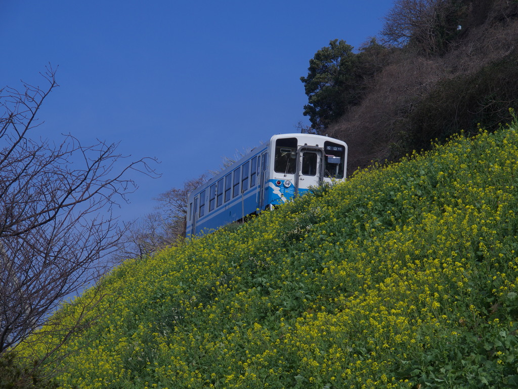 初撮り鉄