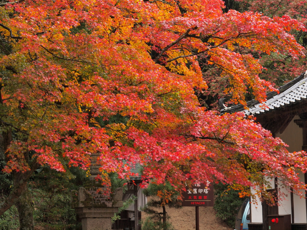 雨の興隆寺