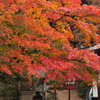 雨の興隆寺