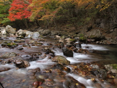 紅葉と清流