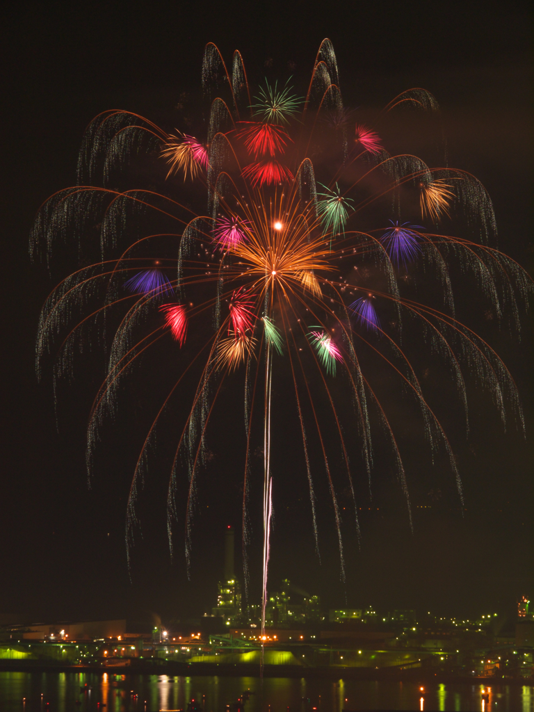 夜空に舞う孔雀