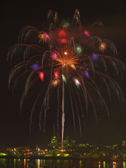 夜空に舞う孔雀