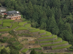 山郷の実り