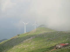 A1201384
