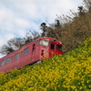 菜の花列車