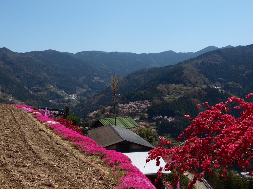 石積みの里山