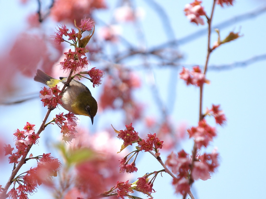 春の陽気に誘われて