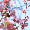 春の陽気に誘われて