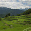 土佐芝刈りの里