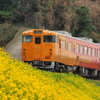 伊予灘ものがたり