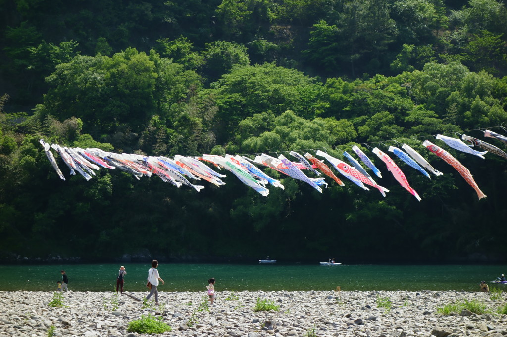 四万十の風に吹かれて