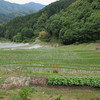 棚田巡り 