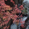 清滝