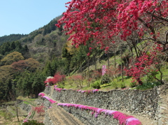 山郷の賑わい