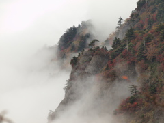 霧につつまれる山