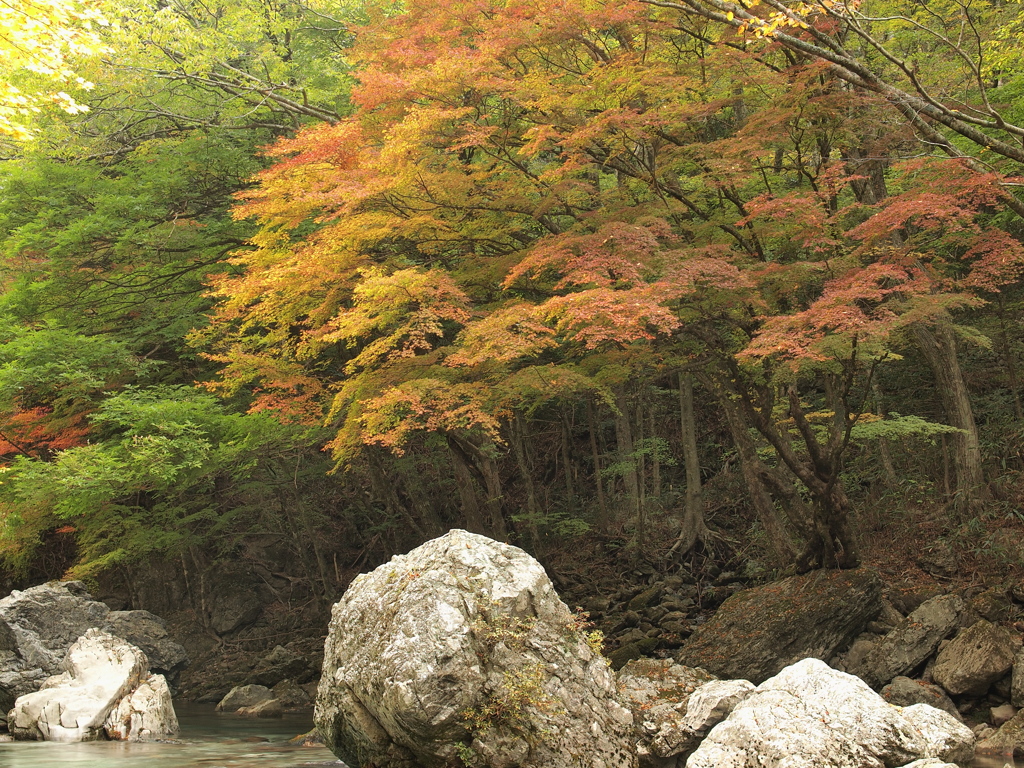 深山の秋Ⅱ