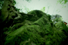 IMGP0193
