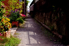 IMGP1347