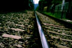 IMGP1345