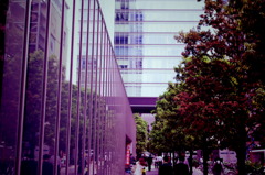 IMGP0679