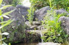 IMGP0760