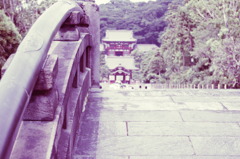 IMGP1355