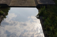 IMGP0833