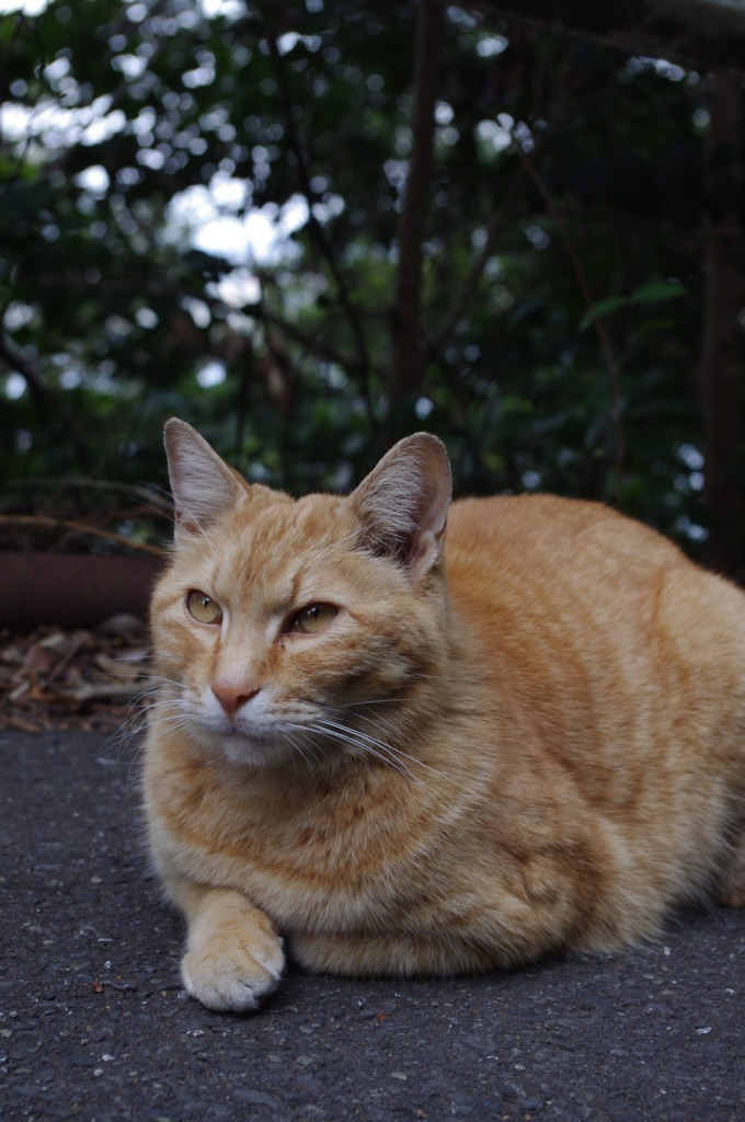 IMGP0128