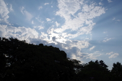 IMGP0822