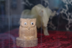 IMGP0718