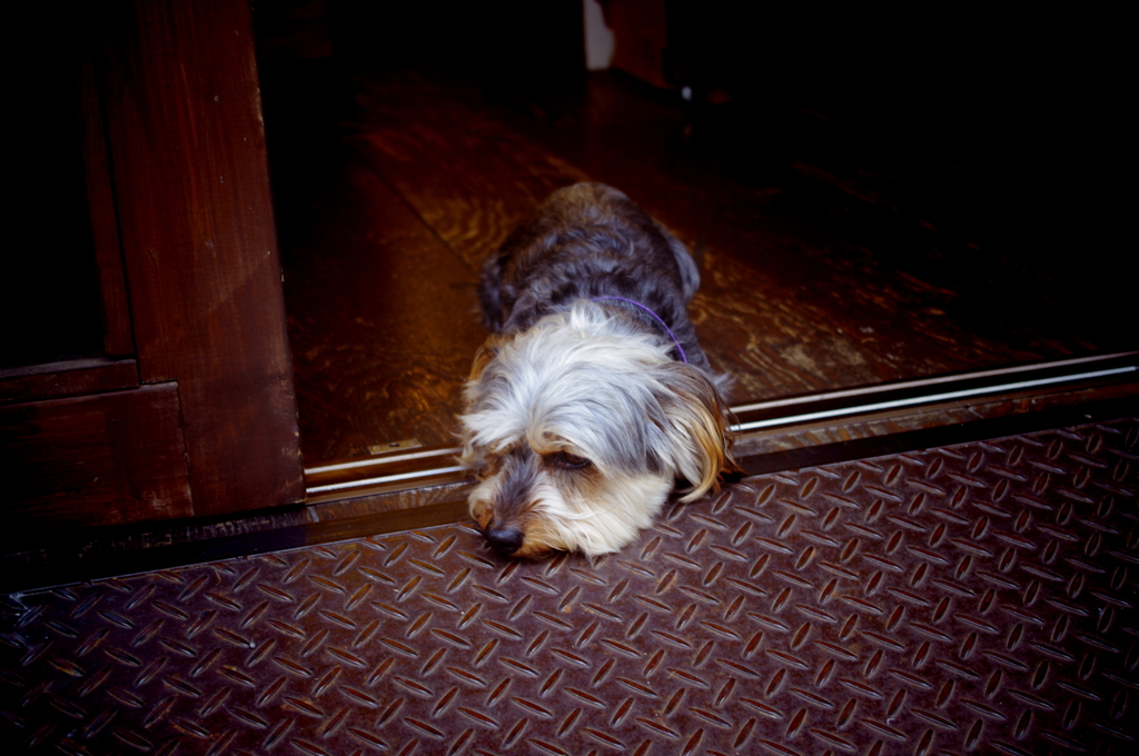 IMGP0033