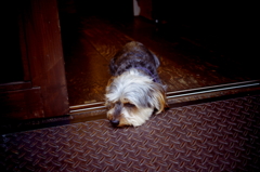 IMGP0033
