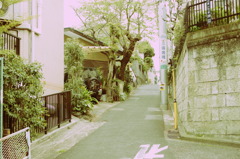 IMGP0023