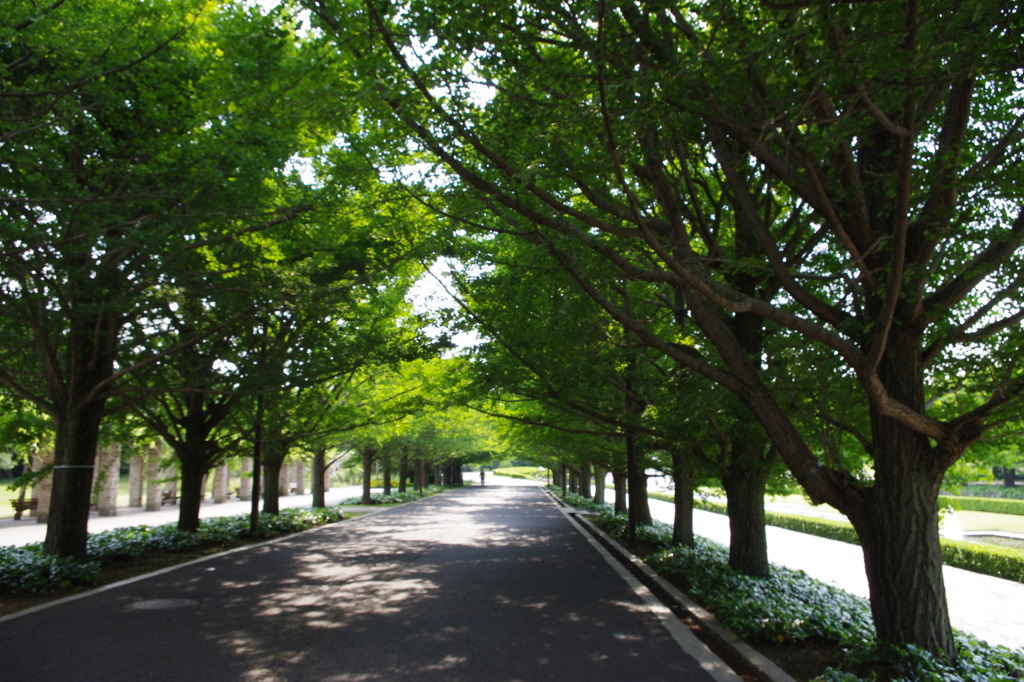 IMGP0785
