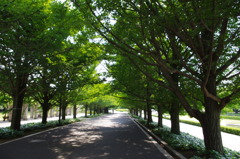 IMGP0785