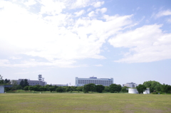 IMGP0750