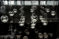The University of Tokyo