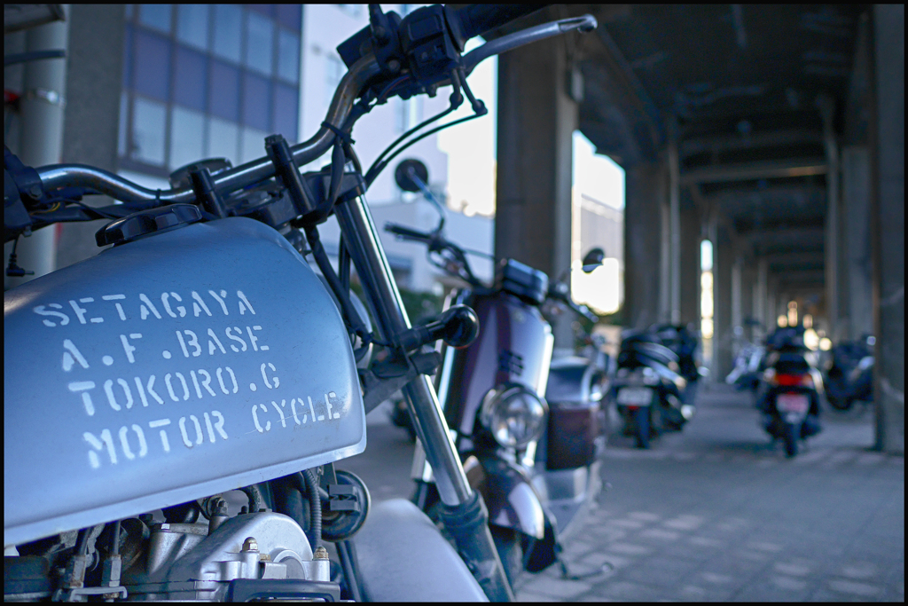 土曜日朝スナップ