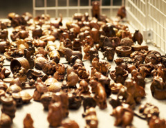 woodmen's bazaar