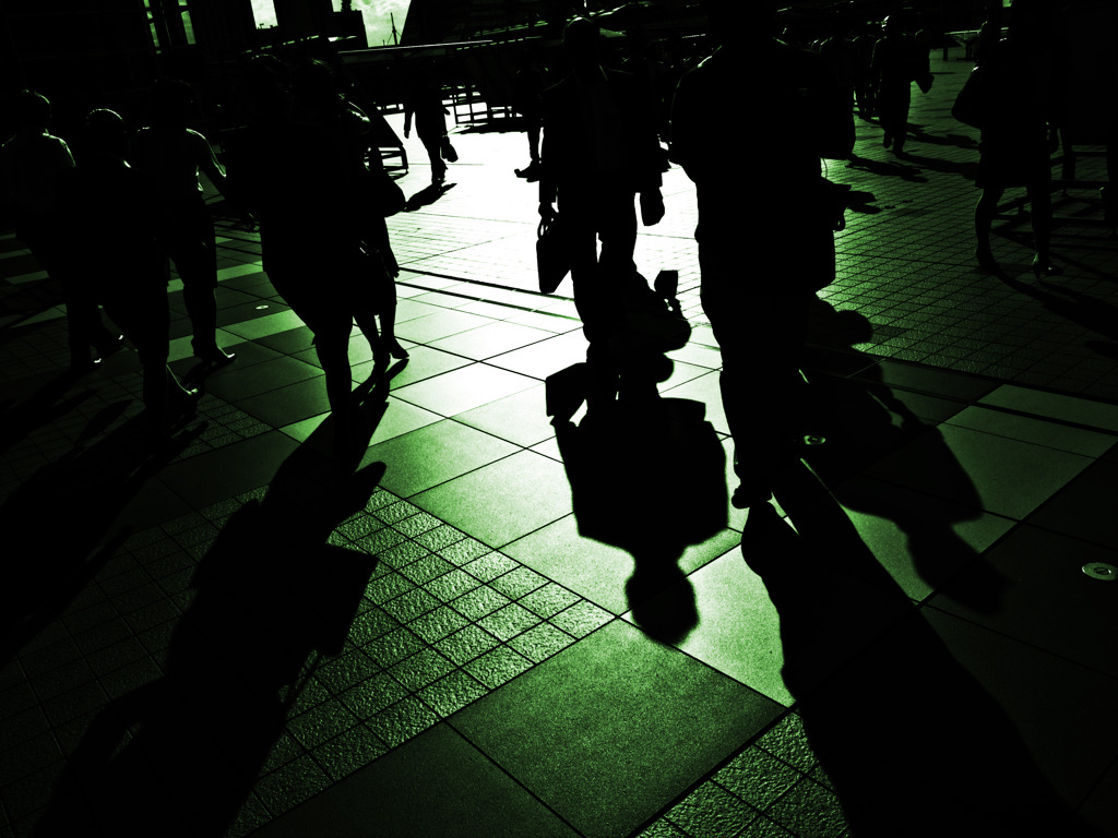 shadows