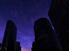 shinagawa sunset
