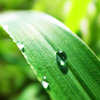 crystal drops