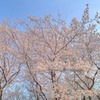 ありがちな・・・