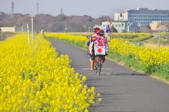 がむばるよ！