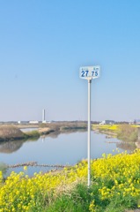 海から　　ｋｍ