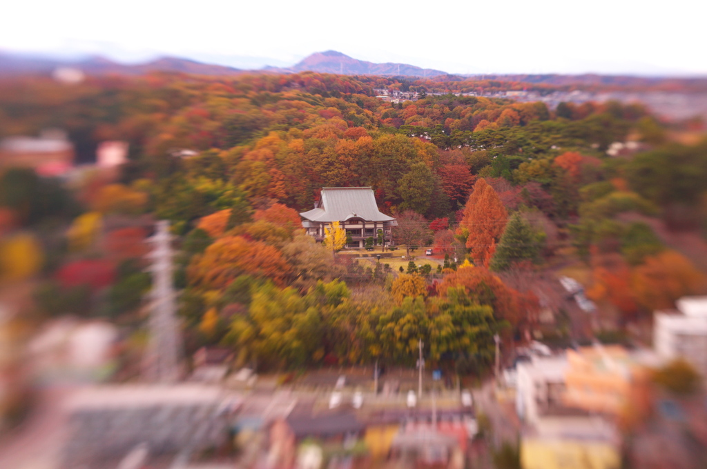 県庁舎の裏は自然がイッパイ ♪