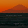 Beautiful Japan