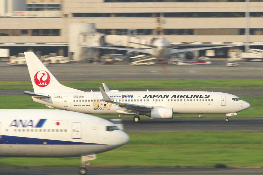 お先にバイバイ　(^_^)/~