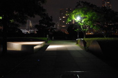 夜の公園