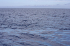 潮流